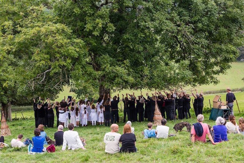 Kathie's choirs performing under an oak tree for Heartwood project